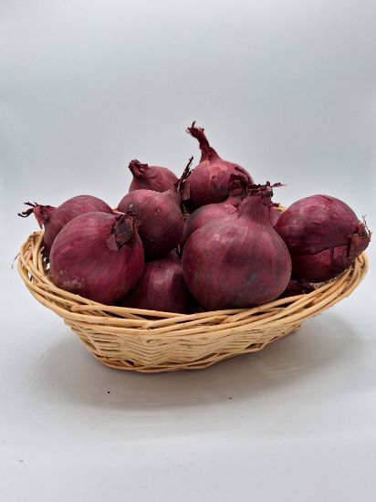 Picture of Bio Zwiebel rot 0,5kg