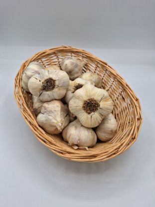 Bild von Bio Knoblauch per 100g